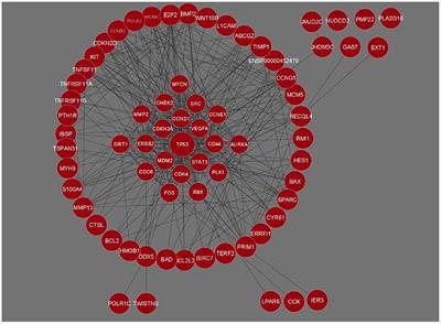 Integrated gene network analysis sheds light on understanding the progression of Osteosarcoma